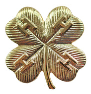 10 Year Gold Award Pin - Shop 4-H