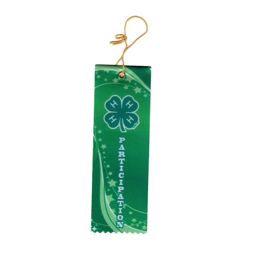 2” x 6” Green-Participation Award Ribbon - Shop 4-H