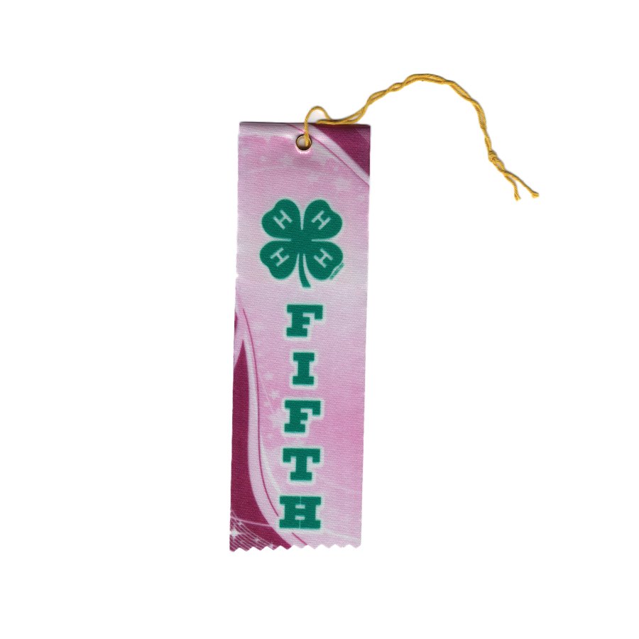 2” x 6” Pink Fifth Place Award Ribbon - Shop 4-H