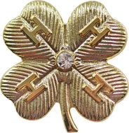 20 Year Diamond Award Pin - Shop 4-H