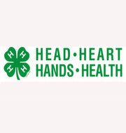 4-H Bumper Sticker - Shop 4-H