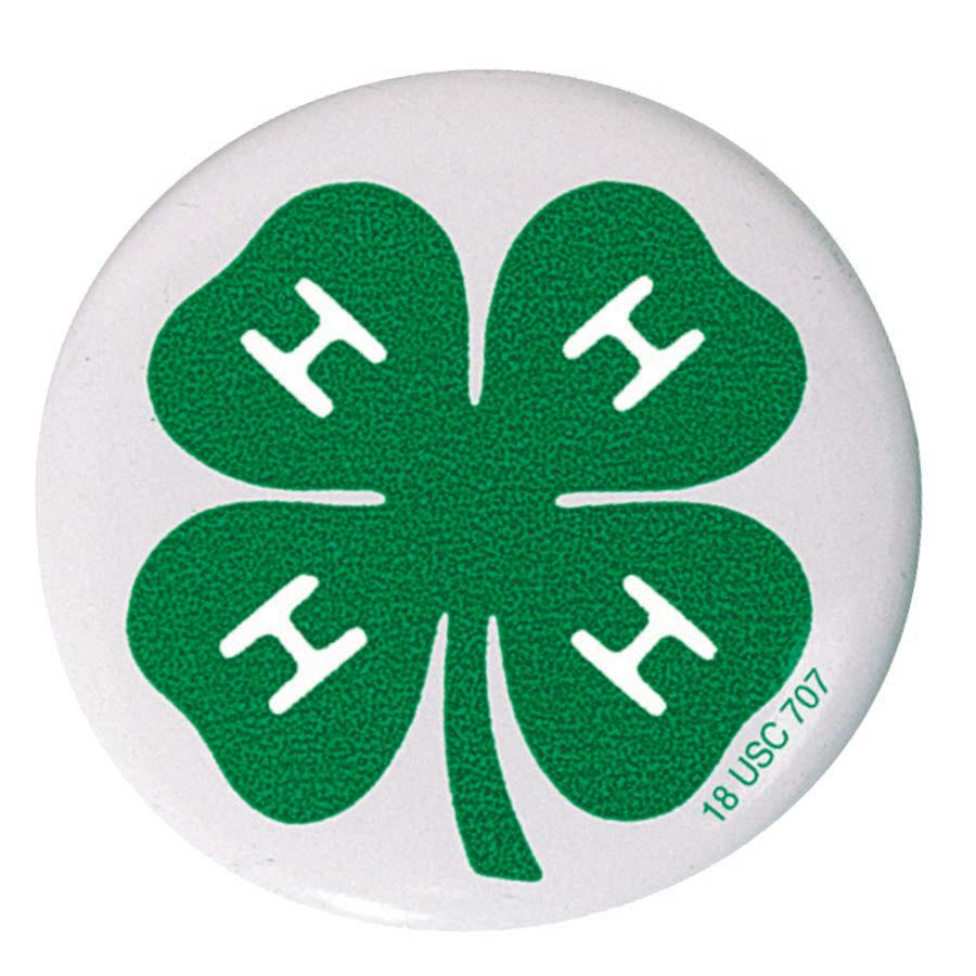 4-H Clover Button - Shop 4-H