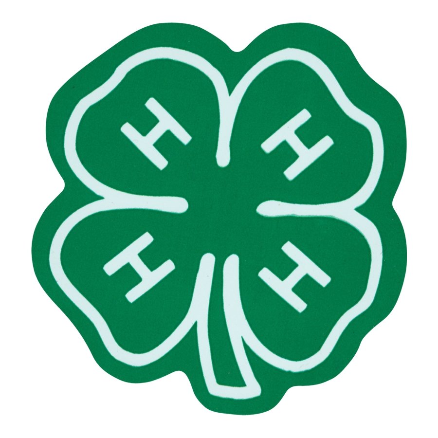 4-H Clover Emblem Magnet - Shop 4-H
