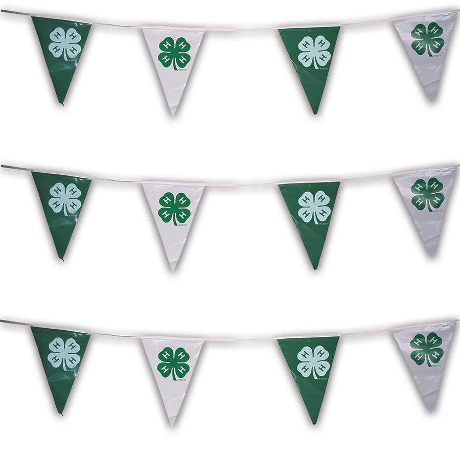 4-H Flag Pennants Set - Shop 4-H