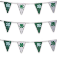 4-H Flag Pennants Set - Shop 4-H