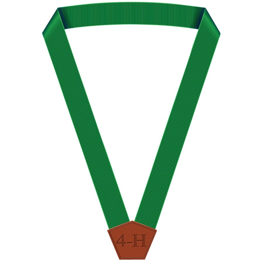4-H Member Achievement Ribbon - Shop 4-H