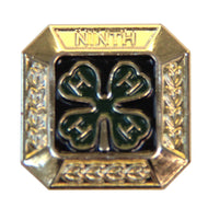 9th Year Member Gold Pin - Shop 4-H