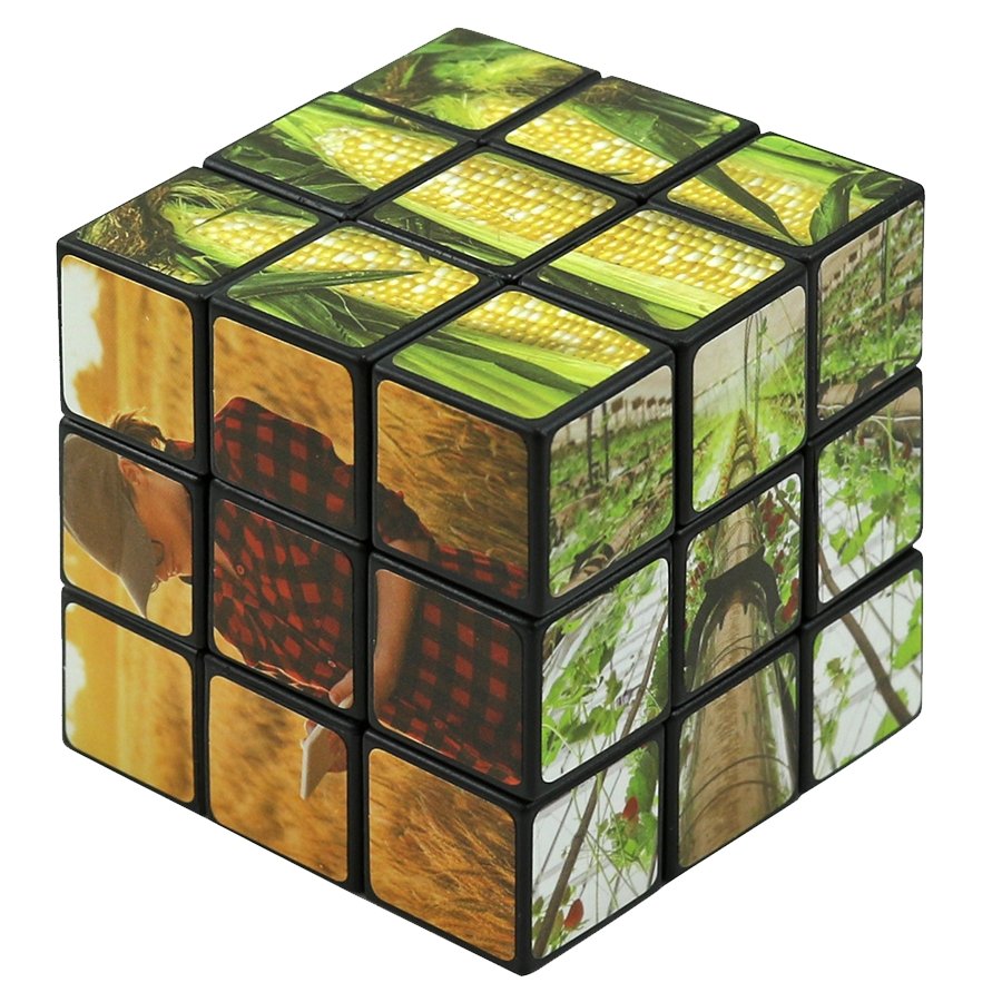 Ag Puzzle Cube - Shop 4-H