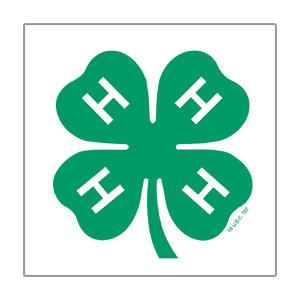 Classic Clover Temp Tattoos (pack of 10) - Shop 4-H