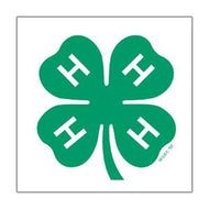 Classic Clover Temp Tattoos (pack of 10) - Shop 4-H