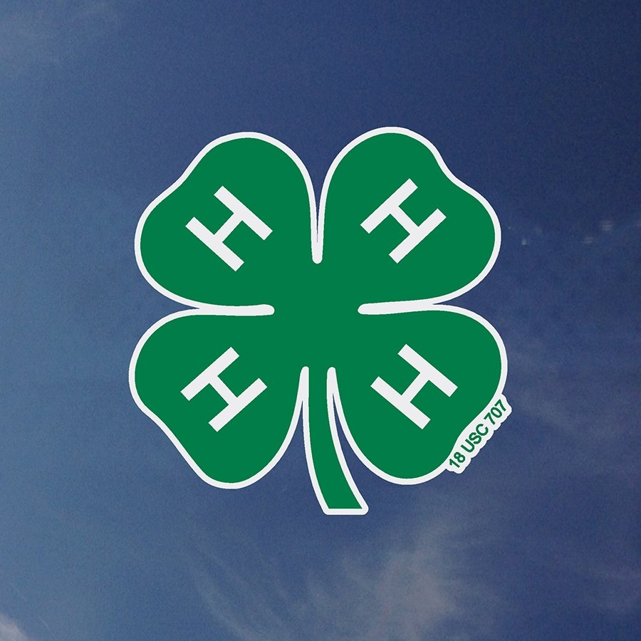 Clover Decal - Shop 4-H