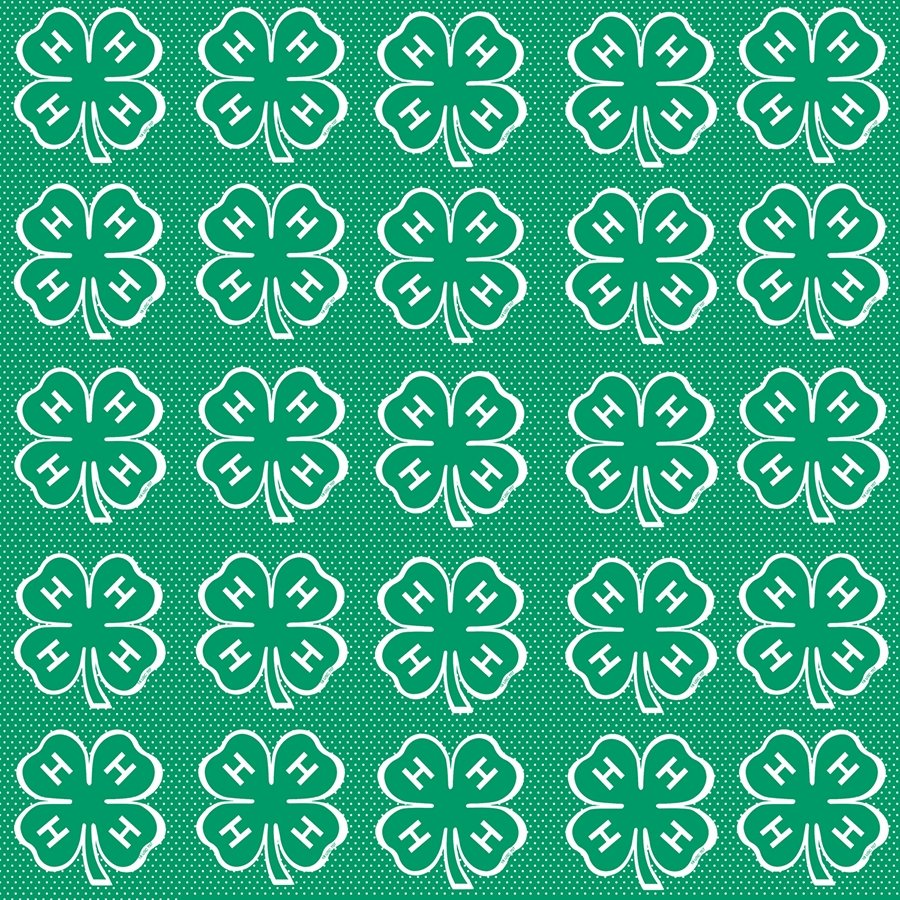 Clovers and Dots Scrapbooking Paper - Shop 4-H