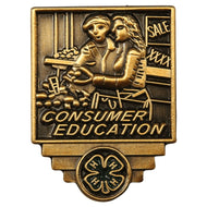 Consumer Education Pin - Shop 4-H