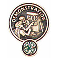 Demonstration Pin - Shop 4-H