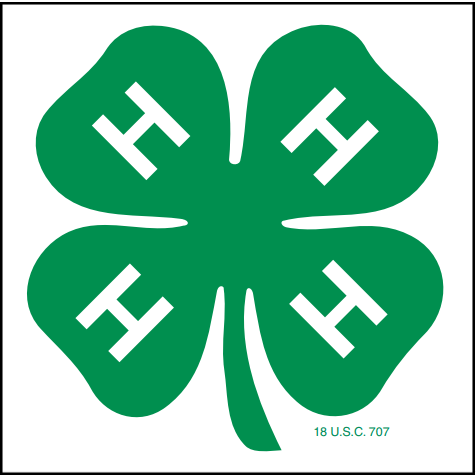 Essential Magnet - Shop 4-H