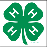 Essential Magnet - Shop 4-H
