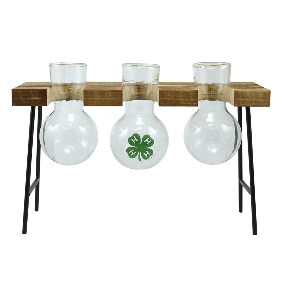Hydroponics Mini Planter w 3 Glass Vases - Shop 4-H