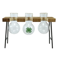 Hydroponics Mini Planter w 3 Glass Vases - Shop 4-H
