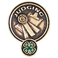 Judging Pin - Shop 4-H