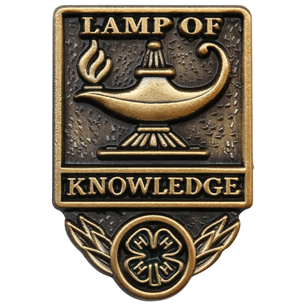 Lamp of Knowledge Pin - Shop 4-H