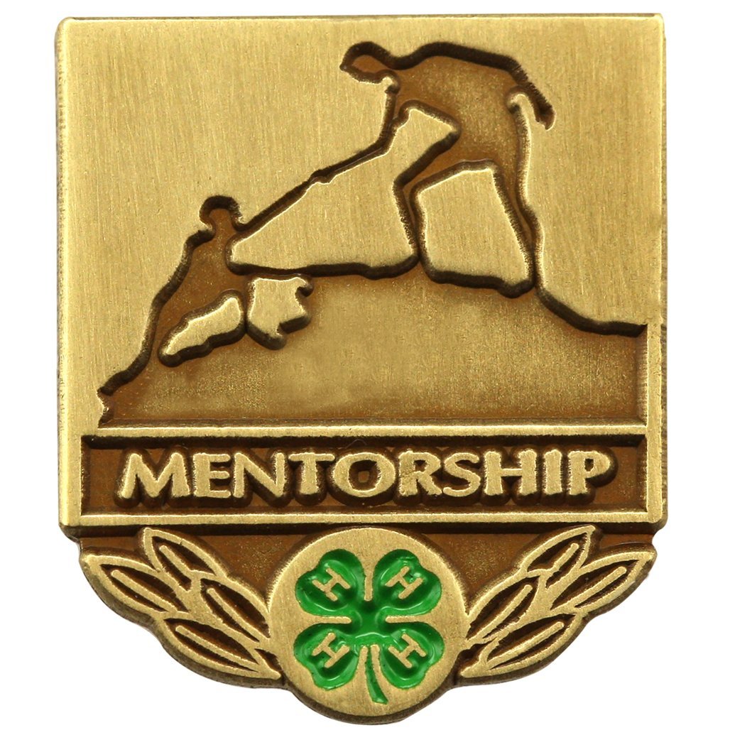 Mentorship Pin - Shop 4-H