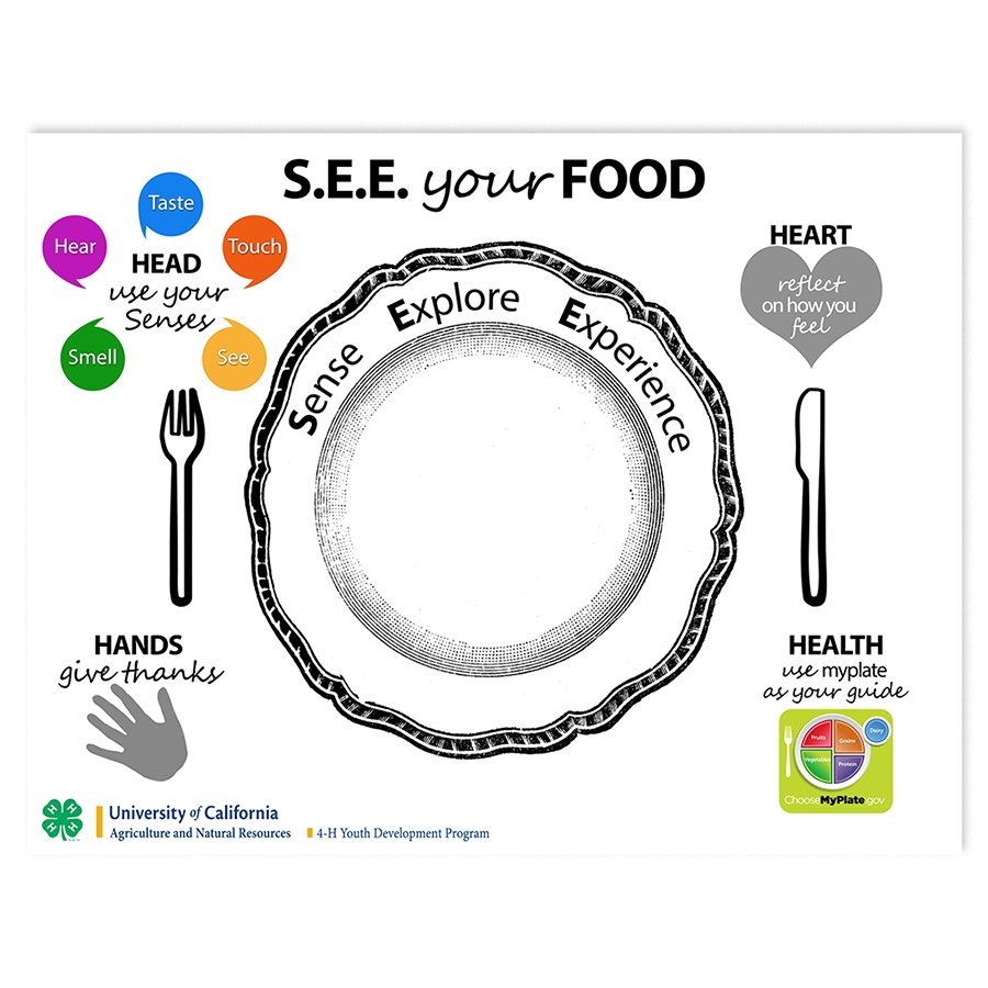 Mindful Me Placemat - Shop 4-H