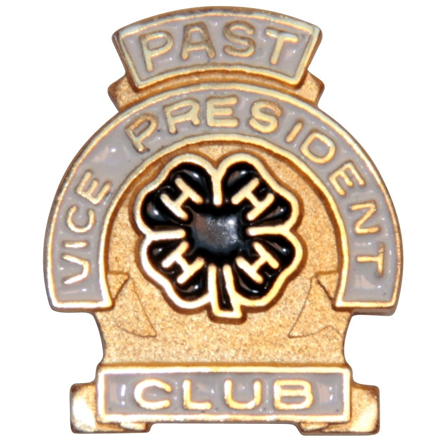 Past Club Vice President Pin - Shop 4-H