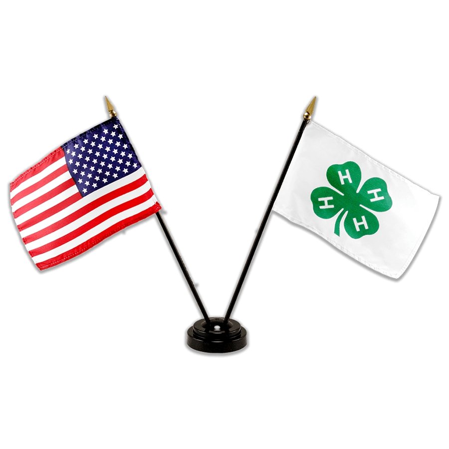 Single Base Flag Set - Shop 4-H