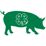 Swine Decal - Shop 4-H