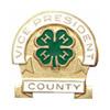 Vice President County Pin - Shop 4-H